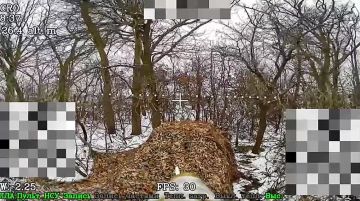 ����������� �������.���������� �����������