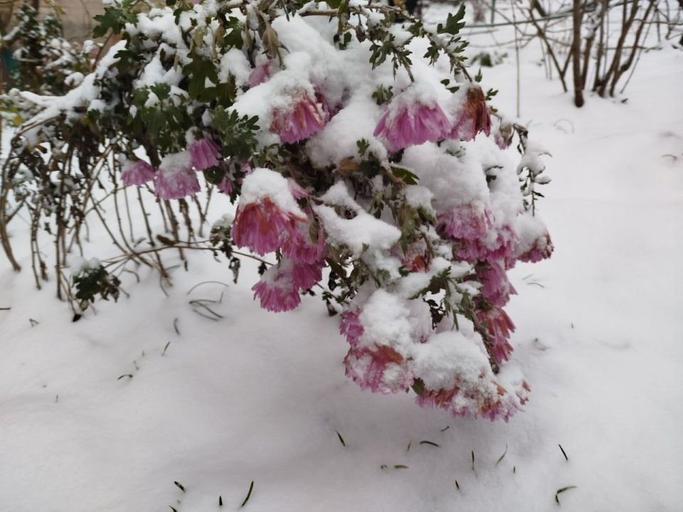 ������ ������ �������, �������, �����������, ���������, �������, �������� � ����������� ����