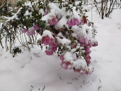 ������ ������ �������, �������, �����������, ���������, �������, �������� � ����������� ����