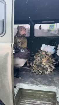 �������� � �������� �������� ������� ��������� � �������� ��� ������ �� ����������� �����������