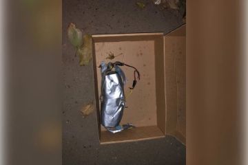 ����������� ������ ��������� �� ������� ���: ������� �������, ���������� �������� ������ � ����������