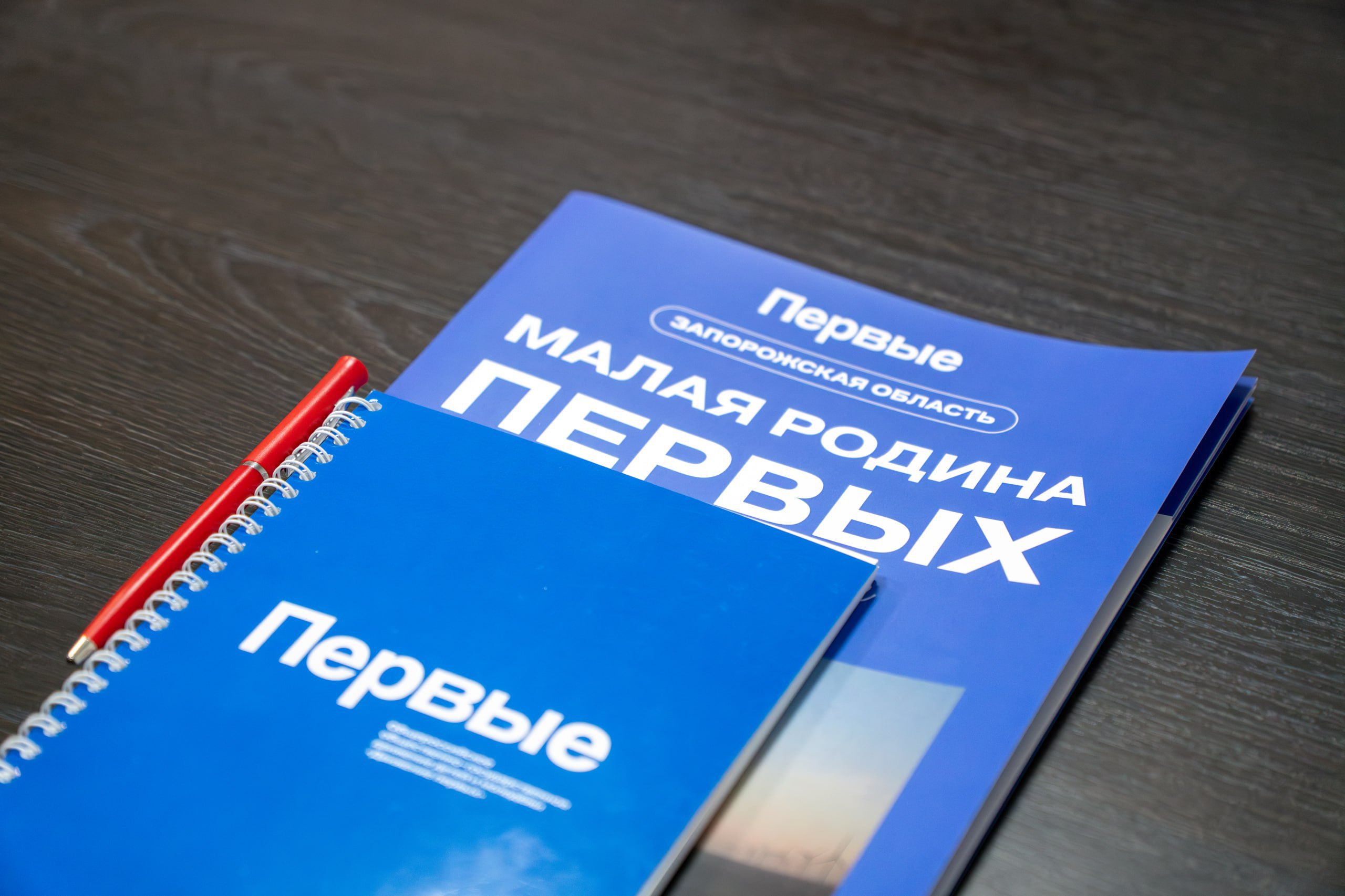 Под председательством первого заместителя Губернатора Запорожской области Оксаны Викторовны Вьюник состоялось итоговое заседание регионального Координационного совета при Губернаторе Запорожской области за 2025 год Под председательством первого заместителя Губернатора Запорожской области Оксаны Викторовны Вьюник состоялось итоговое заседание регионального Координационного совета при Губернаторе Запорожской области за 2025 год