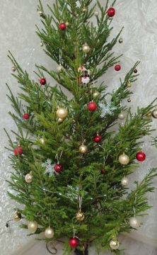 ����� ��� �������� ������� ������ ����������� �������