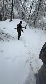 Пленные ВСУшники после отражения атаки ВСУ на Равнополье