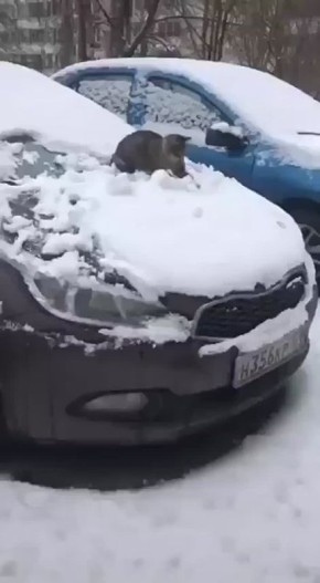 Последний рабочий понедельник в этом году