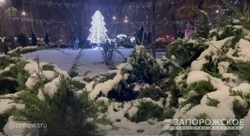 ����� ������ ������� � ���������� ���� ������� ����������