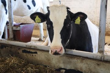 ������� ����������� ��������� �������������� ���������� �� ����� � ������� ����