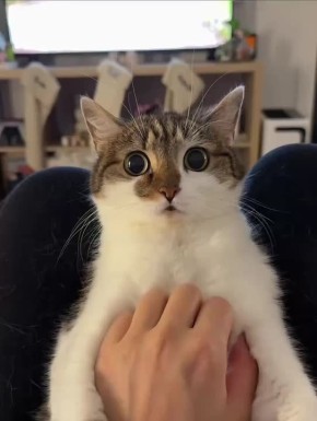 �����, ������� ������ ������