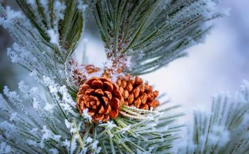 Доброе утро. А вы знали, что сегодня