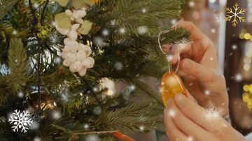 ��������� ������ ����������� ��������������! ������� ������! ����� ������������� ���� ����������!