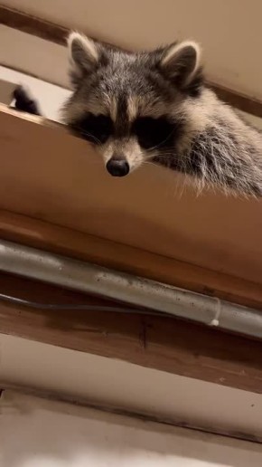 Доброе утро, друзья! Хорошего вам дня и отличного настроения!