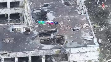 �������� ��������-��������� ���� � �������� ��������, ����������� ������� � ������������ ������ ������������ � ����������� �������, ��������� ������ �������� ��������