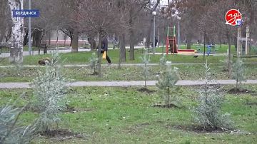 Как отметить Новый год вкусно и не попасть на больничную койку?