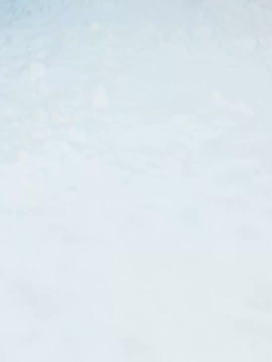 2026-й год уже шагает по планете