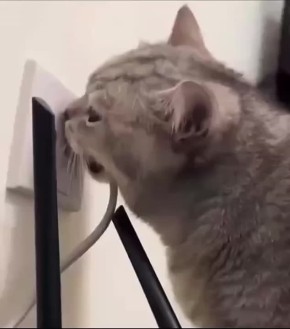 Вот и вечер. Отключаем гаджеты и ложимся отдыхать