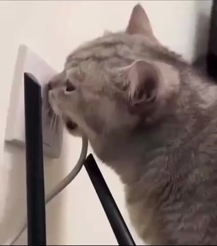 Вот и вечер. Отключаем гаджеты и ложимся отдыхать