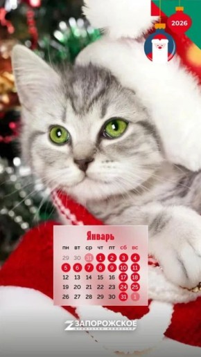 Мрр-мяу! — на кошачьем это значит «С Новым годом!»