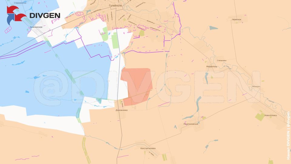 ���������� �����������. ���������������� ������������ ����� ���������