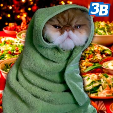 ��� �����, � ��������� ���� ��� �� ��