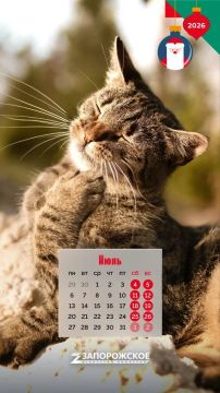 � ����� �����! ������ �� � �������, � � ��������!