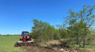 ����� �������� ���� � ������� �������