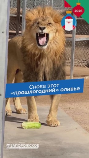 �� ������������, � ����������!