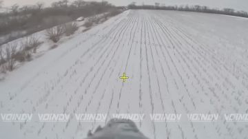 ��������-���������� 14 ������� �������� ����������� ����� "������" ���������� ����� ����������, ������ ������� �������, ����������� �������