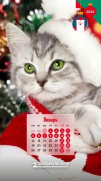 ���-���! � �� �������� ��� ������ �� ����� �����!�