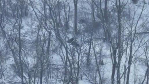 Во время зачистки одного из лесных массивов, российский штурмовик вплотную подобрался к укрытию с украинскими военнослужащими и закинул в нору мину