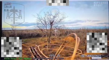 Запорожское направление, район н.п. Преображенка. Оператор дрона-камикадзе батальона беспилотных систем 58 Армии ГрВ "Днепр" уничтожил стоянку антенну управления украинскими беспилотниками