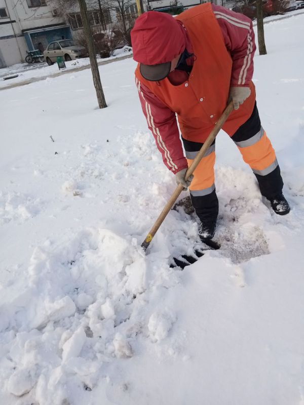 � ����� ������ ���� ��������� ���������� �������� �� � ����������, � � ��������