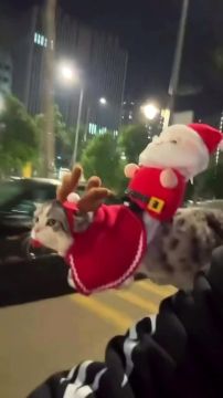 ����� � �� ����� �������. ������ �� ������ �� �����