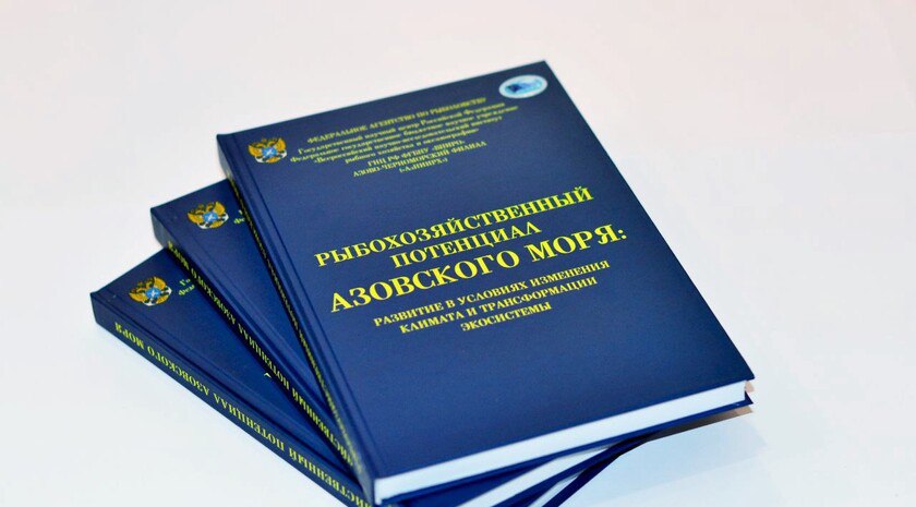 Ученые обобщили результаты исследования Азовского моря