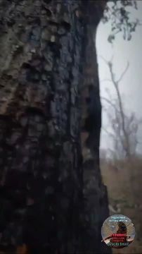 Владимир Рогов: Суровая военная правда от первого лица