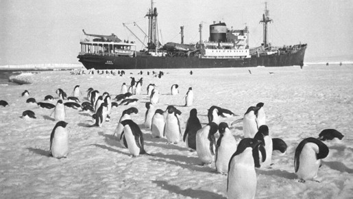 Анна Хорошун: 5 января. 1956, 70 лет назад