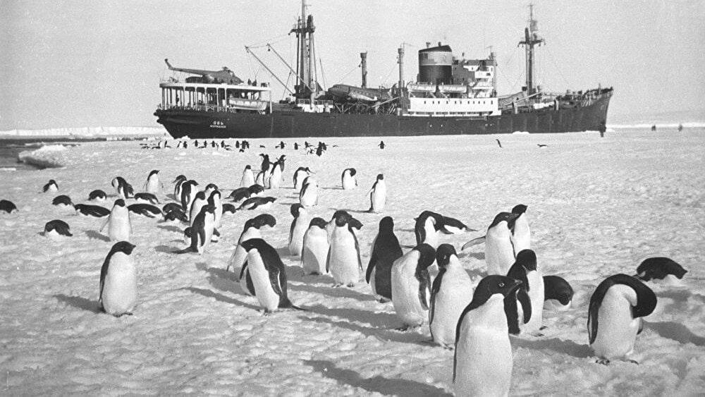 Анна Хорошун: 5 января. 1956, 70 лет назад