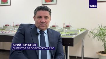 В украинских соцсетях публикуют фото и данные сотрудников ЗАЭС, рассказал в интервью ТАСС директор станции Юрий Черничук