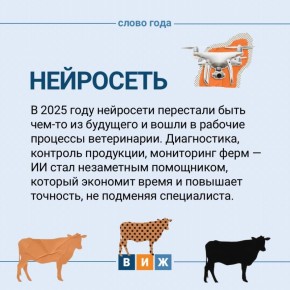 2025-� ���� ��� ����������� ����� �������, ���������� � ������ �������