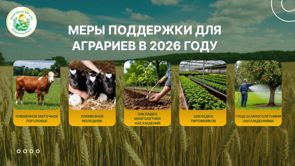 ����� ����� ���� ��������� �������� ��� �������� ����������� ������� � 2026 ����?