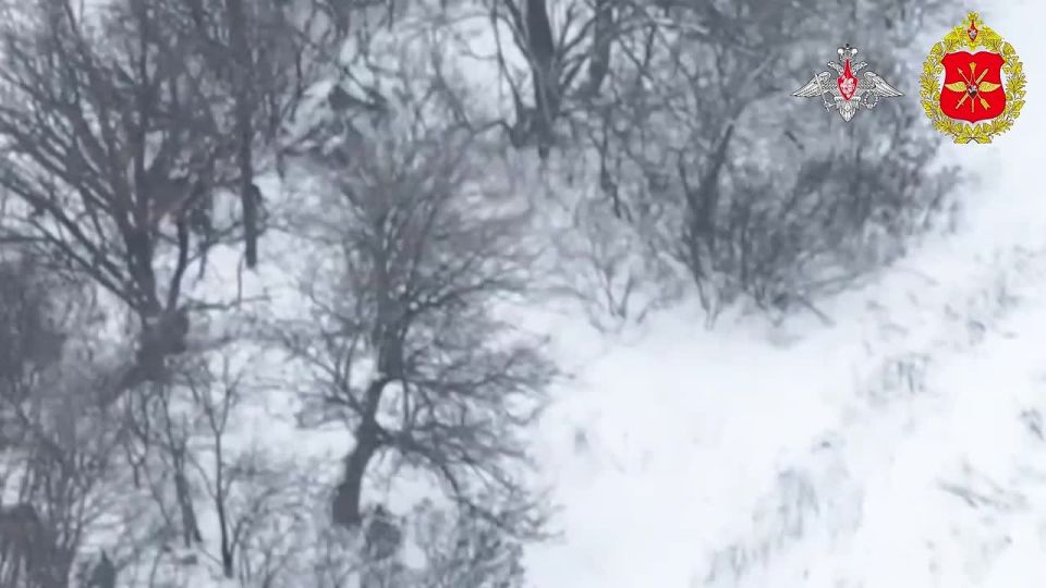 ���������� ������: ������� ��� 2�3 �������� ����������� ������� ���������� ������ ���������� ���� ���������� � ����������� �������