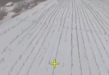 ����� ����� �� ��������� ����