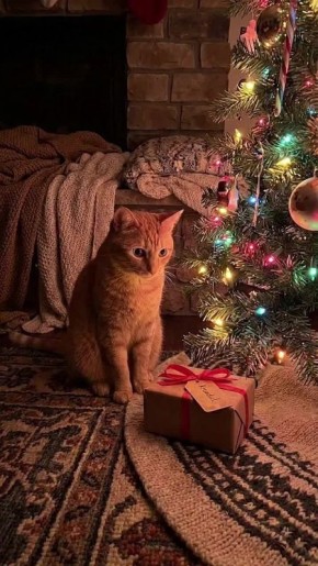 День пролетел налегке. А вы уже все подарки подарили/получили? Подписывайтесь на Запорожский вестник в MAX, Telegram и ВКонтакте и делитесь с близкими