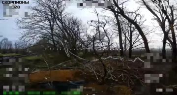 ����������� ����������� ������ ������� FPV ����������� �� ������� ��� "�����" �� ����������� �������� ����������