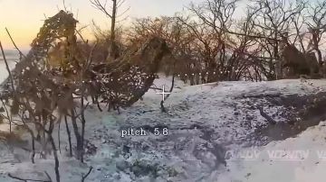 Владимир Разин: Дроноводы 189 полка 35 армии ликвидируют живую силу ВСУ на Гуляйпольском направлении