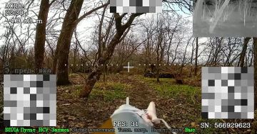 ���������� �����������.. ��������� ������-��������� ���������� ������� ������������ ���