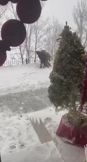 �������������� ���������� �����������