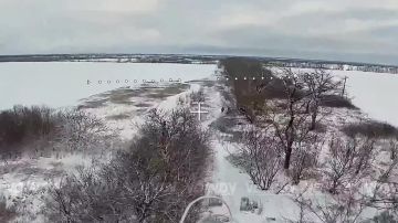 ��������� ���� 189 ��������������� ����� 35 ����� ����������� ����� "������" ���������� ���������� ����� ���� ���������� � ������ �.�. ���������