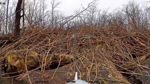 ����������� �����������. ��������� ������� ������ 11����� ���������� ��������������� �������������� ������ ����������