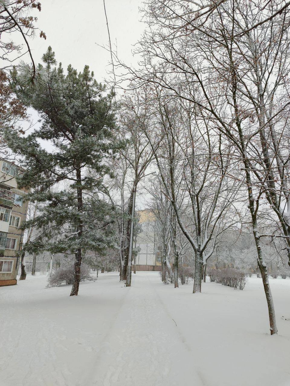 С добрым утром!. Начнем день с улыбки и чашки кофе