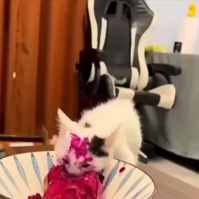 ���� ������� � �����. �������, � ������� ��������